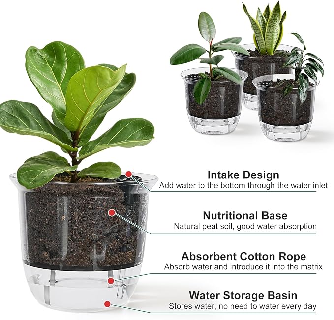 Self Watering Pots, 3 Pack 6.5/5/4 Inch Clear Plant Pot Self Watering Planter - Image 3
