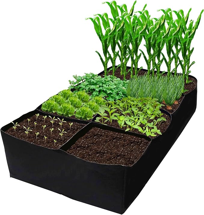 CJGQ Fabric Raised Garden Bed 6x3x1ft Garden Grow Bed Bags by CJGQ