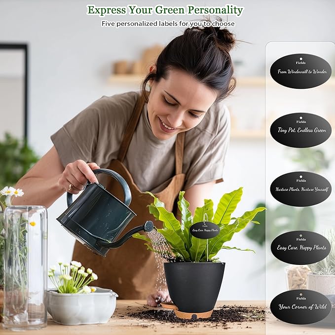 6 Inch Self Watering Pots for Indoor Plants – Small Plastic Planters - Image 4