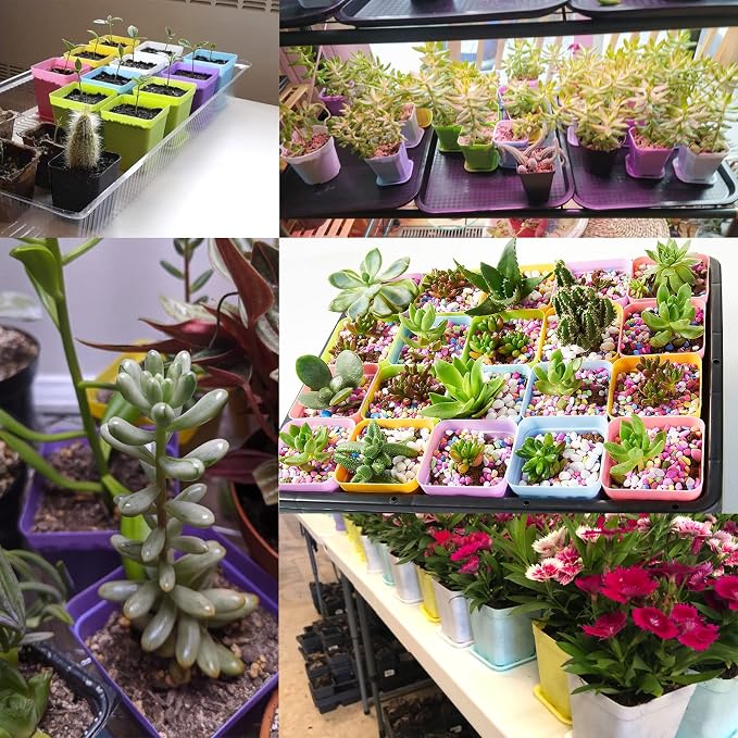Anyumocz 42 PCS Plastic Square Plant Pots, Small Flower Pots - Image 7