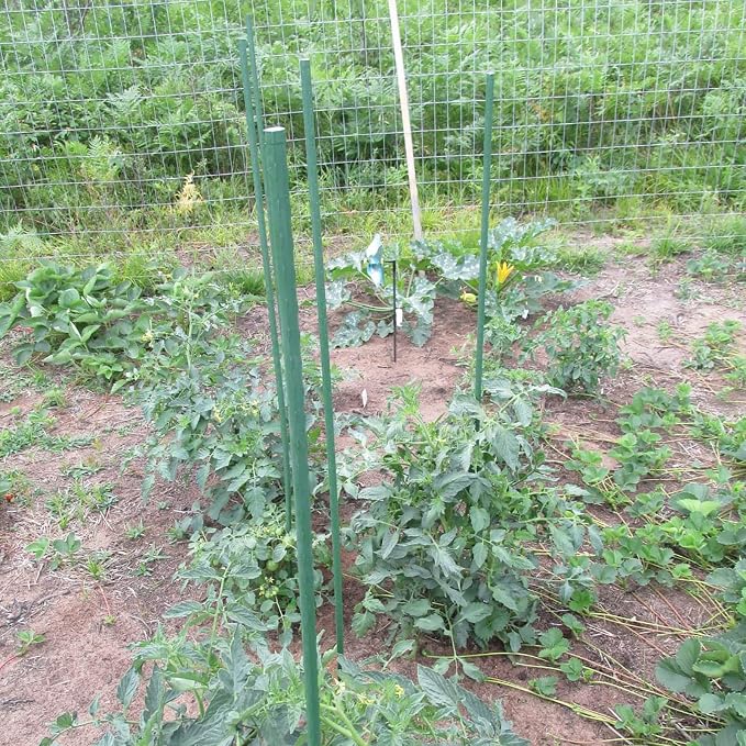 Garden Plant Stakes 36 Inch 3Ft Steel Plant Stick Support, 25 Pack Tomato Stakes - Image 7