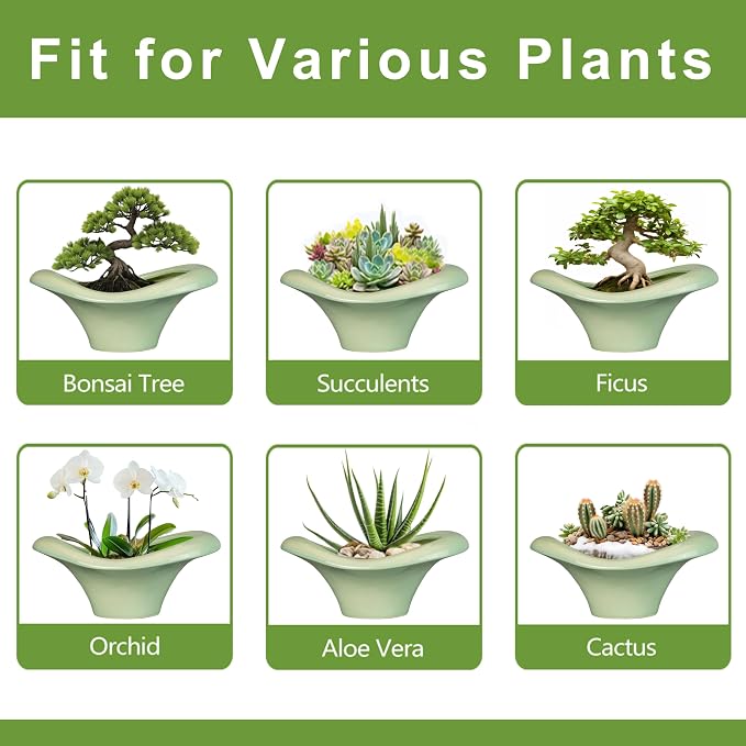 Ceramic Bonsai Pots - Image 7