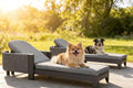 PURPLE LEAF Outdoor Daybed Sun Chaise Lounge Chairs by PURPLELEAF