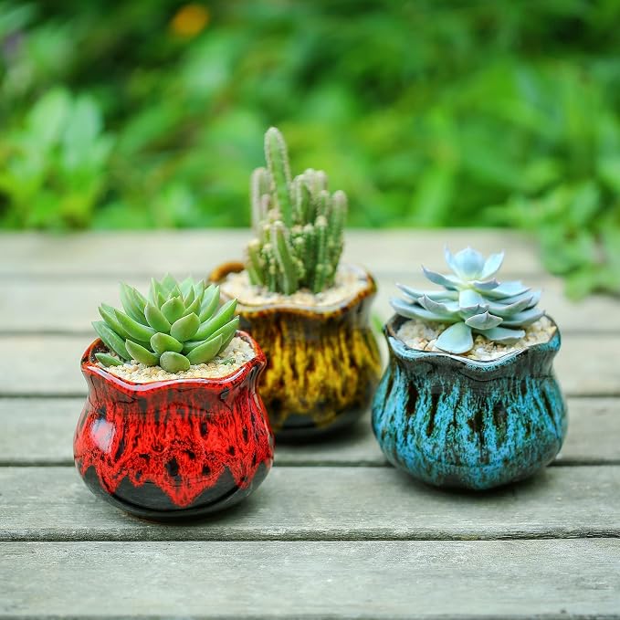 Cute Ceramic Succulent Planters, Garden Pots - Image 3