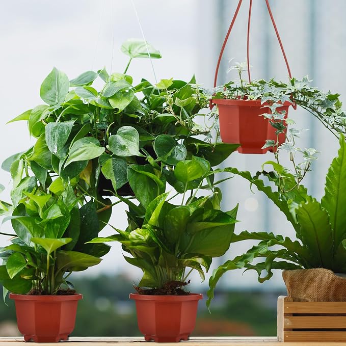 Roshtia 50 Pcs 3.7 inch Plastic Hanging Plant Pots - Image 6