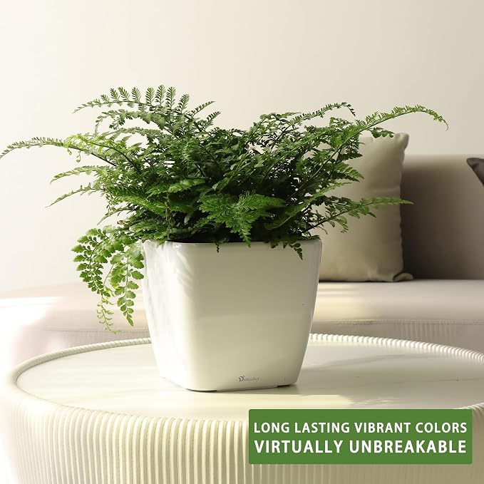 Dexceder 9x8 Self Watering Planter Indoor Outdoor, Inner Mat Design, Thickened - Image 6