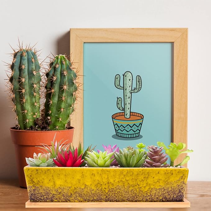 Succulent Pots - Large Succulent Planter Pots - Image 5