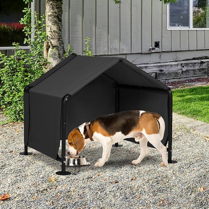 Dog Shades for Outside - Image 8