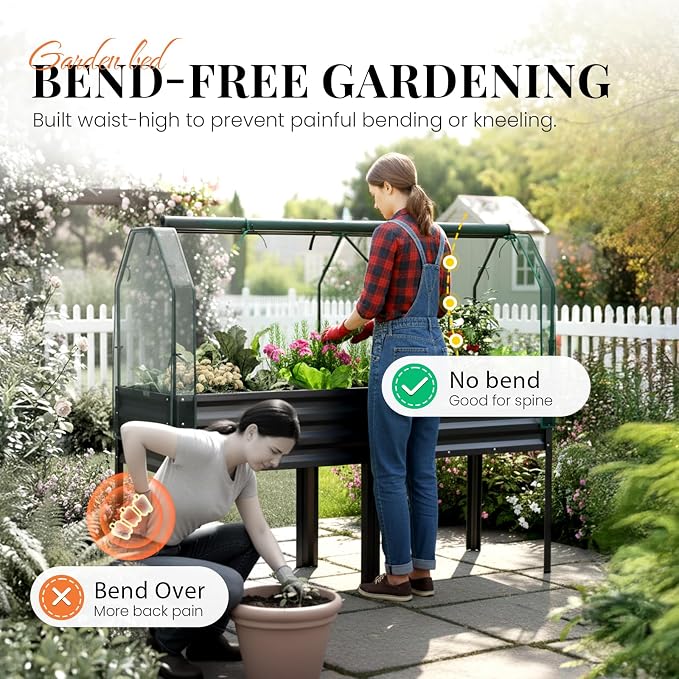 KING BIRD Large Raised Garden Bed - Image 3