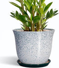 Ceramic Planter by SUNPOTFOR