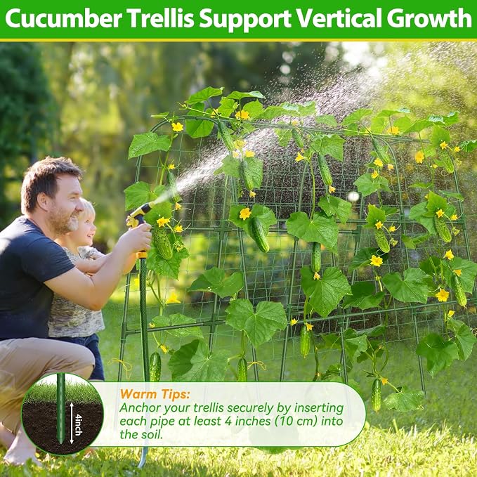 Cucumber Trellis for Raised Bed, Metal Arch Plant Support, Vegetables Trellis - Image 7