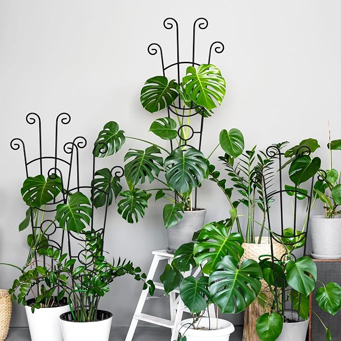 32.6in Monstera Plant Support Stakes - Image 9