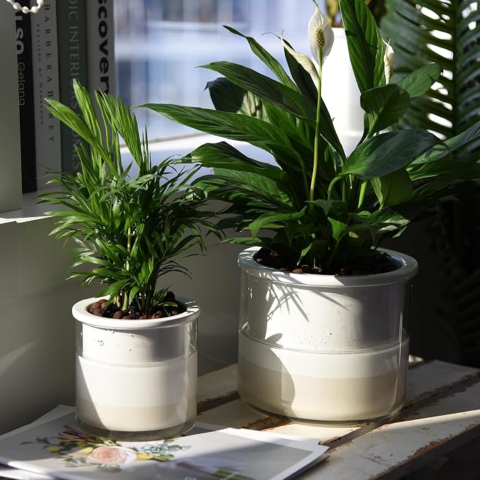 Phoenix Vine 6 Inch 4 Inch Self Watering Planter Pots, Design White Terracotta - Image 5