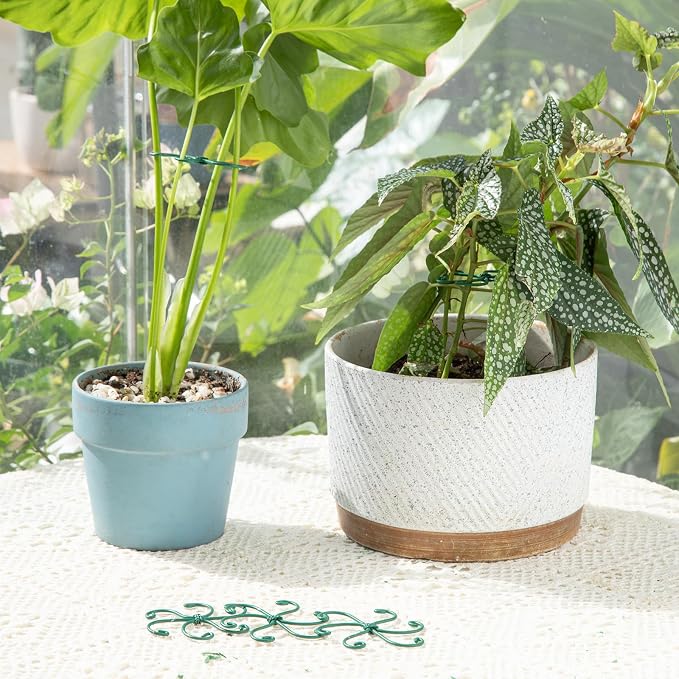 Monstera Plant Stem Support - Image 7