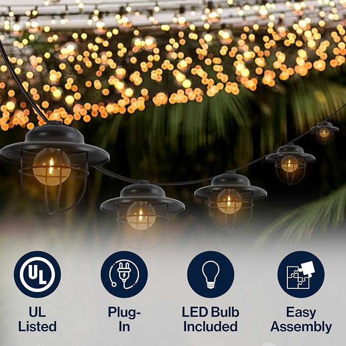 JONATHAN Y 10' Black 10-Light Rustic Farmhouse LED String Lights - Image 4