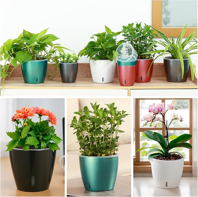 Self-Watering Pots for Indoor Plants, Small African Violet Pots - Image 6