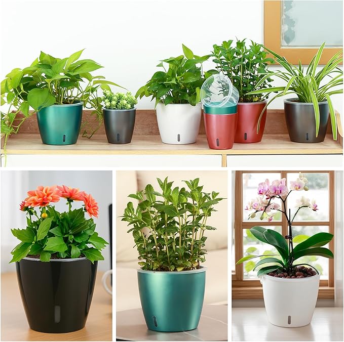 Self Watering Pots for Indoor Plants, Small African Violet Pots - Image 5