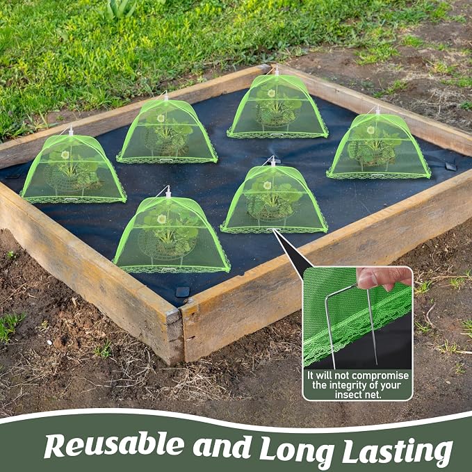 4 Sets Strawberry Plant Support - Image 4