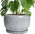 SQOWL Ceramic Planters by SQOWL