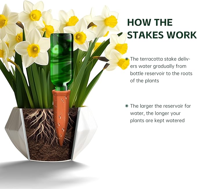 Large Terracotta Plant Watering Spikes, Automatic Plant Waterer Outdoor | - Image 4