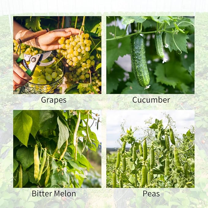 Cucumber Trellis 2 Pack, Twist Ties - Image 9