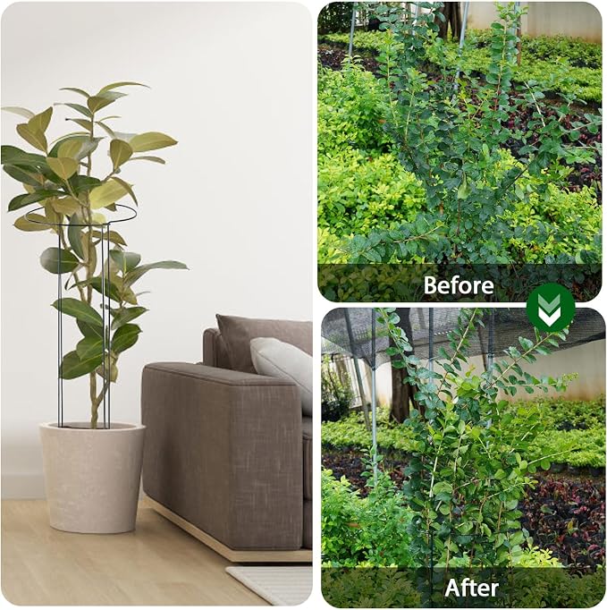 32 inch Plant Support Stakes, 10 Pack Half Round Metal Garden Plant Stake - Image 6