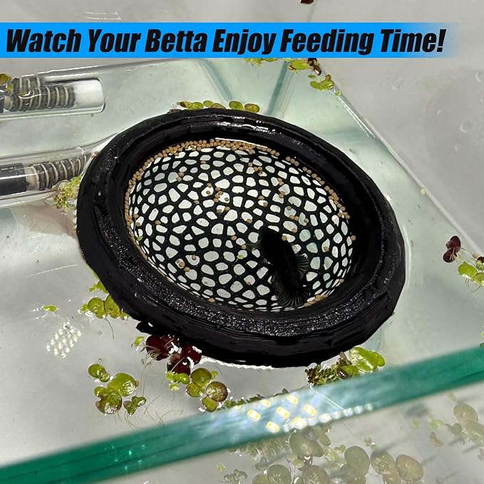 Aquarium Floating Betta Fish Skins, Betta or Shrimp Feeder, Cave and Hammock - Image 5