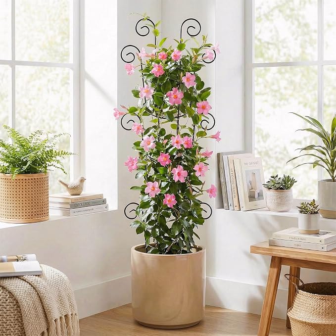 4 Pack 43 Inch Metal Plant Trellis - Image 2