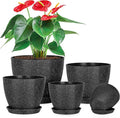 5 Pcs Plant pots, 7.5/6.5/5.7/4.9/4.1 inch Pots by LOKEISNA