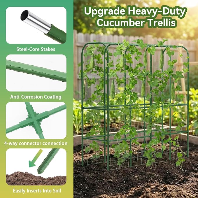 65" Tall Cucumber Trellis for Raised Bed, Garden Trellis for Climbing Plants - Image 2