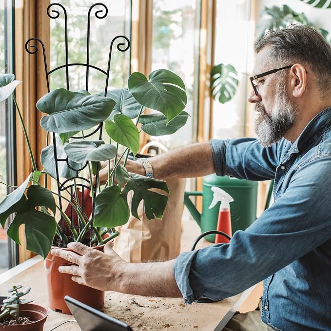 32.6in Monstera Plant Support Stakes - Image 5