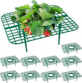 10 Pack Strawberry Plant Support, Strawberry Planting Stand, Keeping Strawberry by GOONMILL