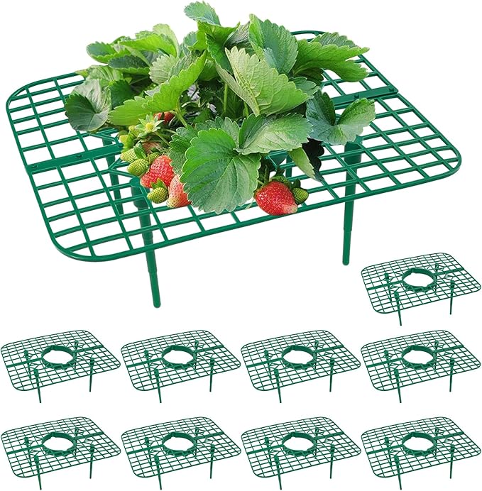10 Pack Strawberry Plant Support, Strawberry Planting Stand, Keeping Strawberry by GOONMILL