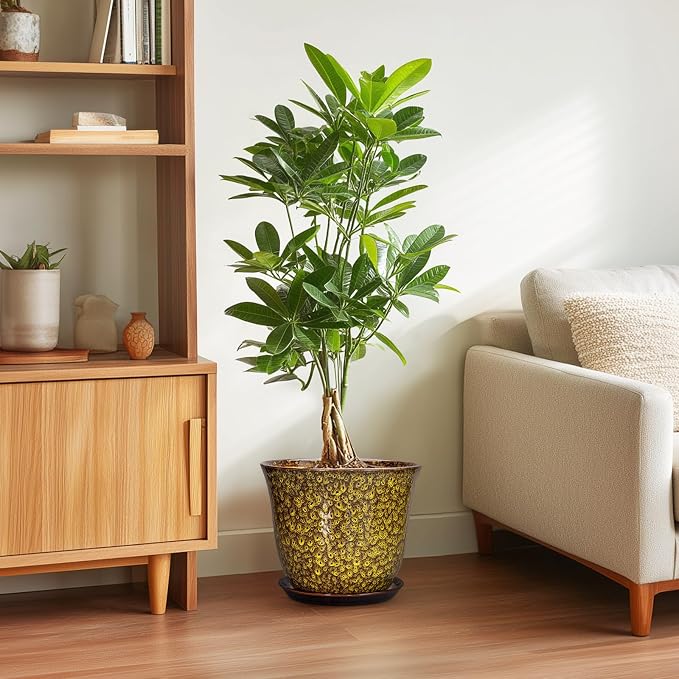 Ceramic Pots for Plants - Image 4