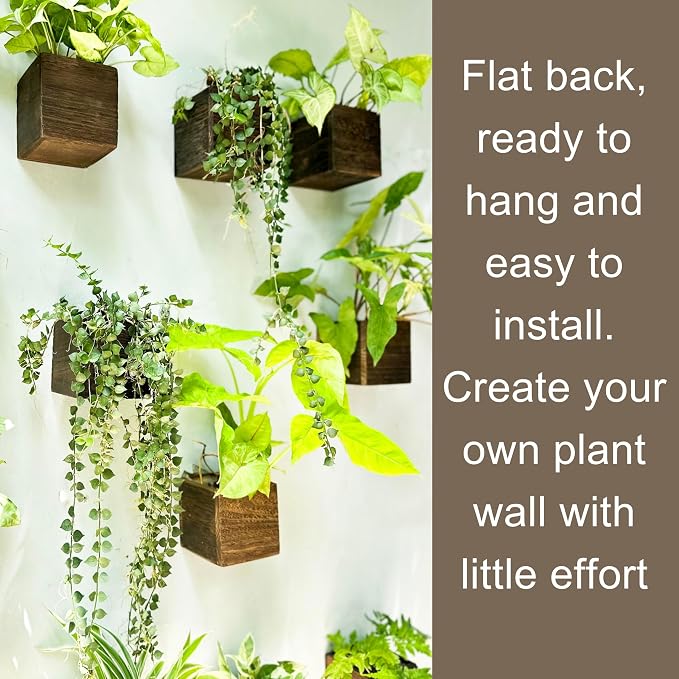 LaLaGreen Indoor Planter Box for Plants Small Square Wooden Wall Mounted - Image 5