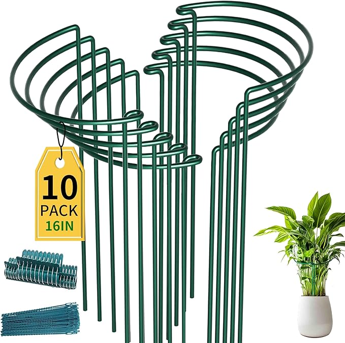 TCBWFY 10 Pack Garden Plant Support Stakes, Plant Supports by TCBWFY