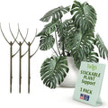 Stackable Plant Support Stakes, Indoor & Outdoor Houseplant Stem Support by TwigsGardenAccessories