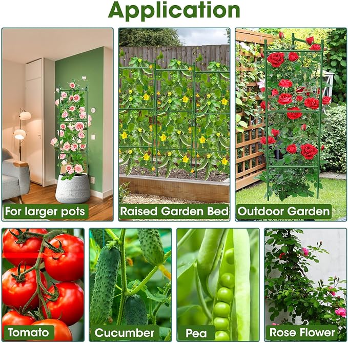 3 Pack Tomato Cage, Tomato Cage - Image 7