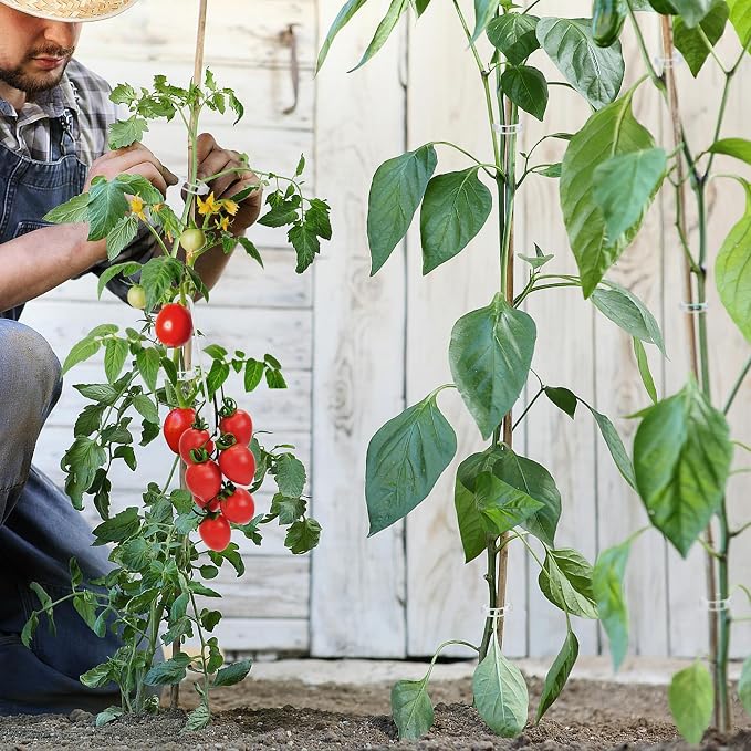 250 Pcs Tomato Clips, Plant Support Clips and J Tomato Hooks, Plastic Trellis - Image 6