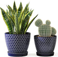 Docrin Blue Honeycomb Ceramic Plant Pot Set by DOCRIN