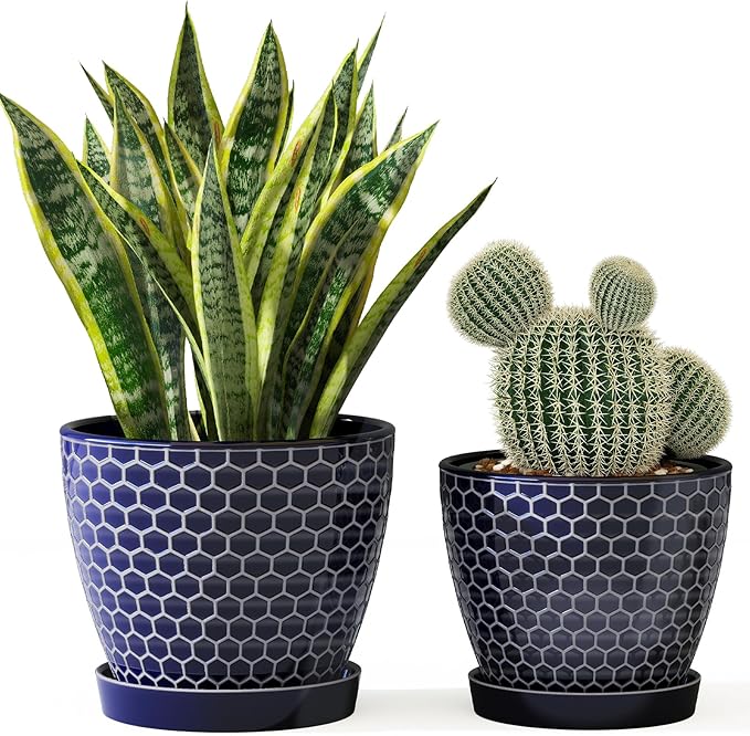 Docrin Blue Honeycomb Ceramic Plant Pot Set by DOCRIN