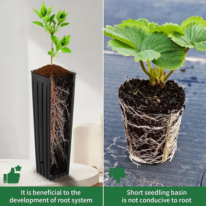 50 Pcs Plastic Deep Nursery Treepots, 9.8" Tall Nursery Tree Pots, Flower Plant - Image 3