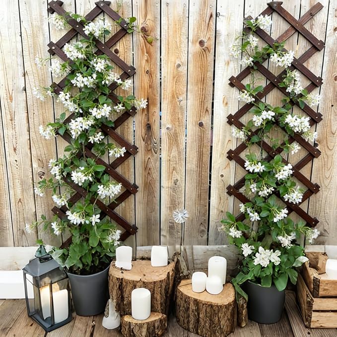 4 Pcs Expandable Garden Trellis, Wooden Lattice Wall Fence Trellis - Image 8