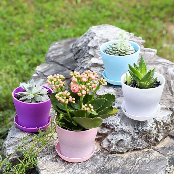 TDHDIKE 10 Pcs Plastic Planters Indoor Flower Plant Pots, Mini Flower Seedlings - Image 6