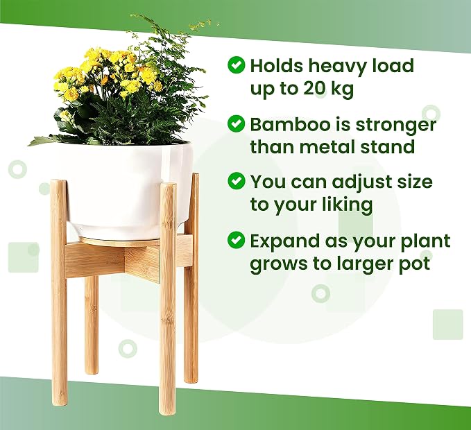 ZPirates Plant Stand for Indoor - Image 7
