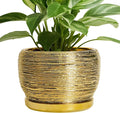 SQOWL Ceramic Flower Pot by SQOWL