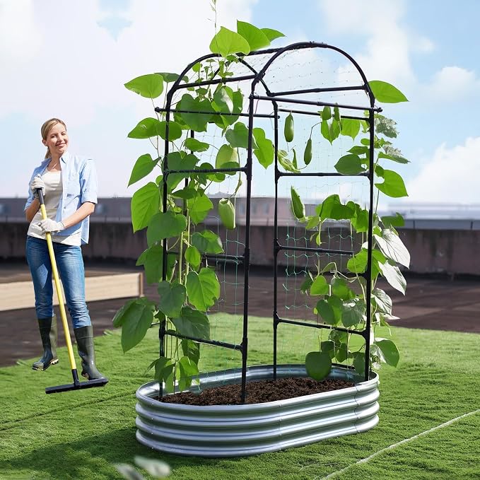 Lalahoni Garden Arch Trellis for Climbing Plants Outdoor, 80 Inch Tall Grape - Image 2