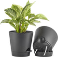 FaithLand 2-Pack 8 Inch Planter Pots by FaithLand