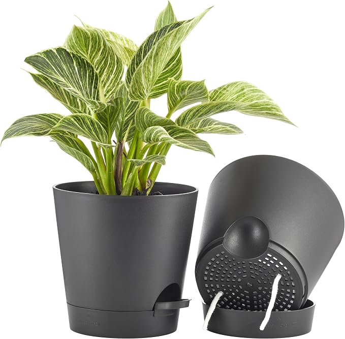 FaithLand 2-Pack 8 Inch Planter Pots by FaithLand