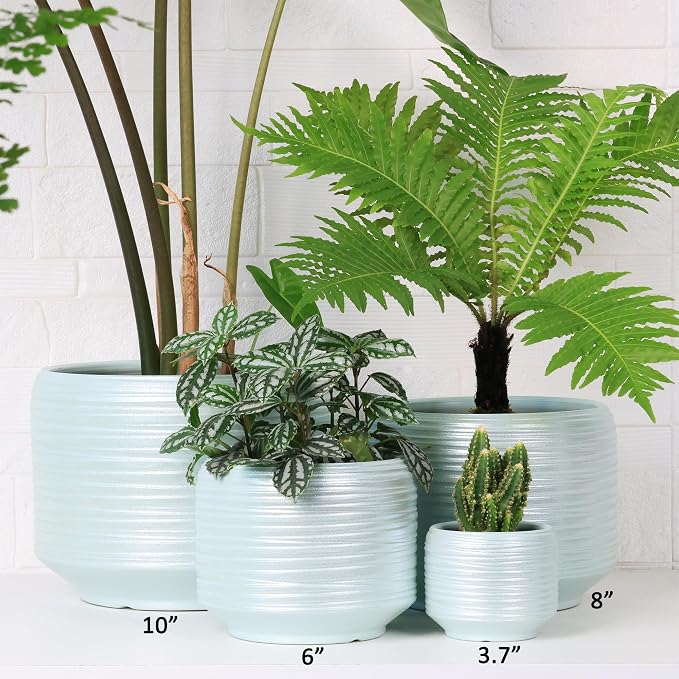 10 Inch Ceramic Plant Pot with Drainage – Large Flower Pot - Image 6
